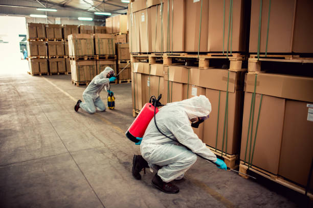 Best Pest Control Near Me  in York, PA