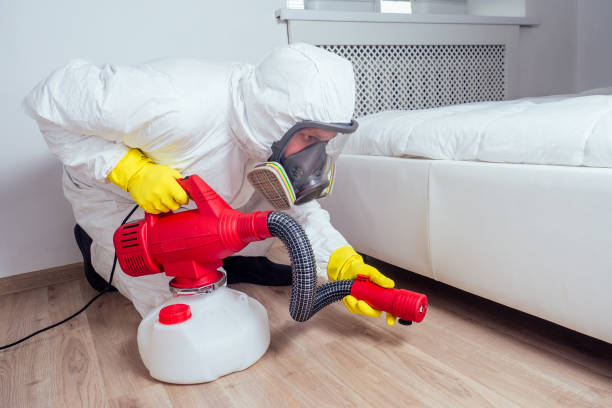 Reliable York, PA Pest Control Solutions