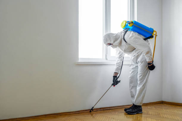 Best Wildlife Control Services  in York, PA