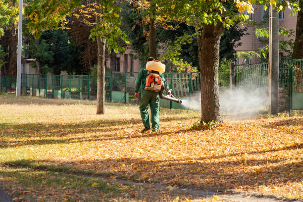 Best Wasp Removal Services  in York, PA