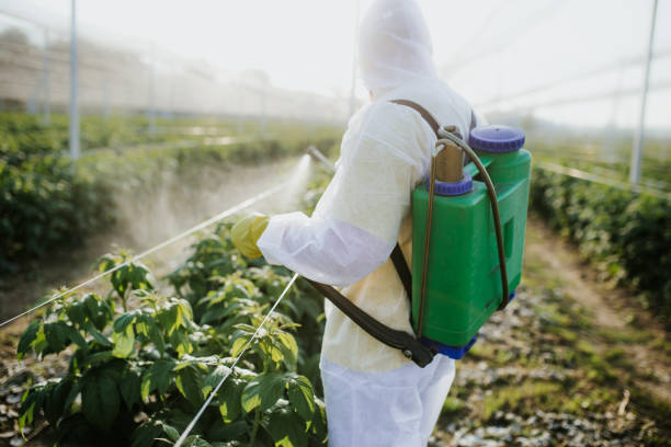 Best Insect Control  in York, PA